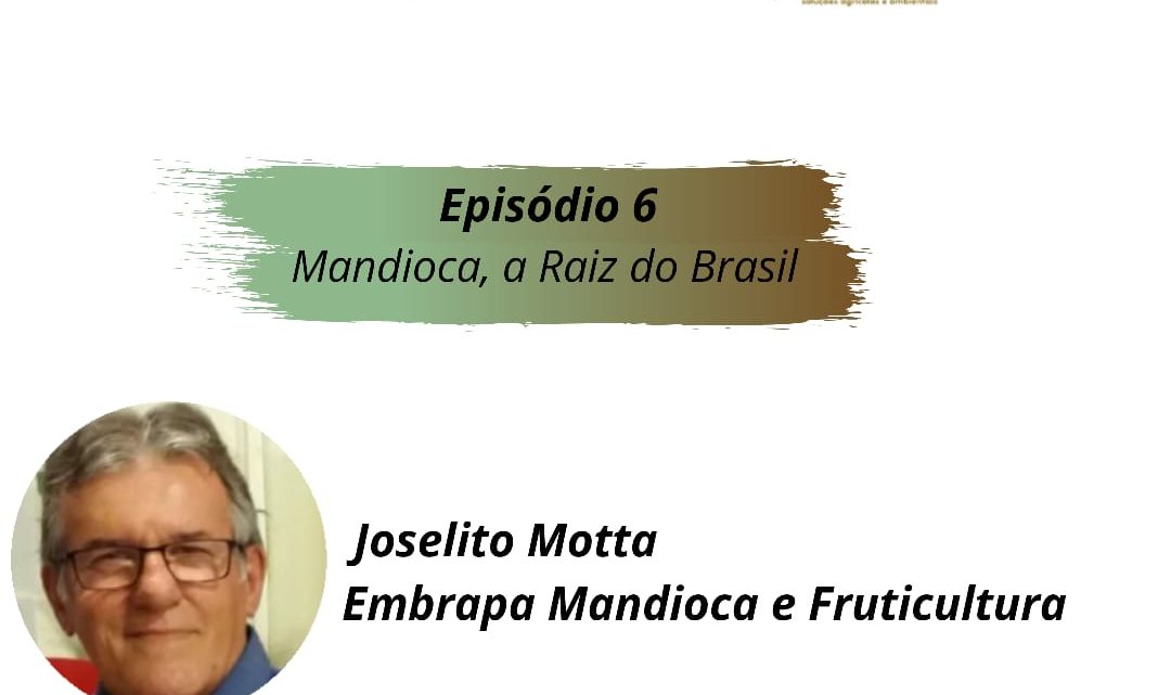 Episódio 006 – Mandioca, a Raiz do Brasil